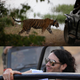 Image for article titled Photogs Covering Perry-Brand Wedding Fend Off Bodyguards & Tigers!